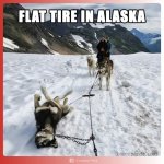 FB_IMG_1743060492004.jpg