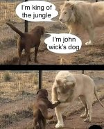 FB_IMG_1743491815433.jpg