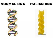 jokes-about-italians-1-5976f6b7b5d68__700.jpg
