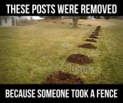 FB_IMG_1745710446478.jpg