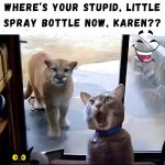 FB_IMG_1746771310132.jpg