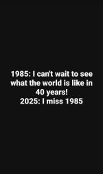 1747281579122.jpeg