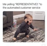1747532008216.jpeg