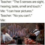 1749391821859.jpeg