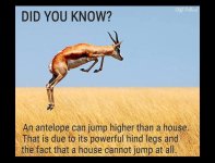 FB_IMG_1752783859993.jpg