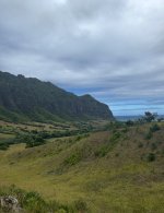 IMG_4589.jpeg