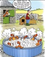 FB_IMG_1753258014033.jpg