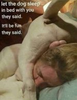 FB_IMG_1753388359472.jpg
