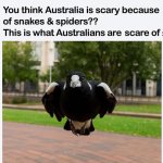 1753693564010.jpeg