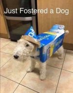 1753770980455.jpeg