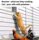 FB_IMG_1754385431797.jpg