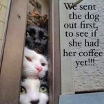 FB_IMG_1754730574690.jpg