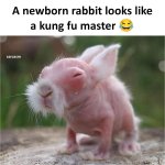 FB_IMG_1754784946674.jpg