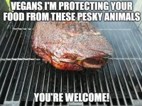 FB_IMG_1754986355762.jpg