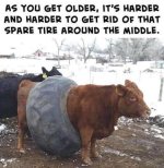 FB_IMG_1756066882846.jpg
