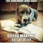 FB_IMG_1755920095522.jpg