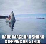 1756249111547.jpeg