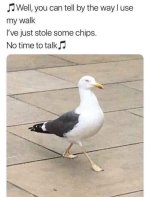 FB_IMG_1756509734872.jpg