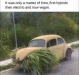 1757108966325.jpeg