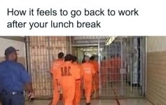 funny-relatable-work-memes-jokes-64005fcd0aacf__700-640081ea17d37__700.jpg