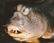 1758073303901.png