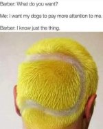 1000006339.jpg
