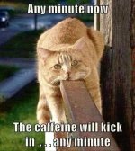FB_IMG_1758139304815.jpg