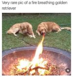 FB_IMG_1759399615964.jpg