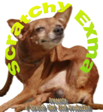 New logo.png