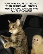 FB_IMG_1759532661141.jpg