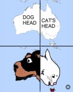 1760481213550.jpeg