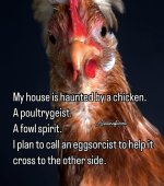 FB_IMG_1760846581881.jpg