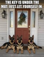 FB_IMG_1761245249500.jpg
