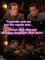 FB_IMG_1761563118254.jpg