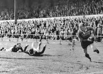 1761721862089.jpeg 1761721862089.jpeg