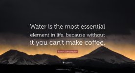 6853439-Karen-Salmansohn-Quote-Water-is-the-most-essential-element-in-life (1).jpg 6853439-Karen-Salmansohn-Quote-Water-is-the-most-essential-element-in-life (1).jpg