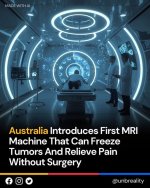 1763497017220.jpeg 1763497017220.jpeg