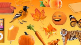 Orange things.jpg Orange things.jpg