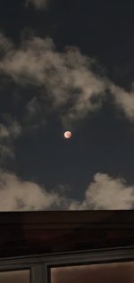 20221108_211639.jpg