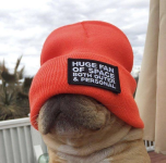 1669260118732.png