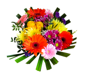 purepng.com-bouquet-of-flowersbouquetflowersbasket-of-flowersclusterbunch-1701527698533sp88k.png