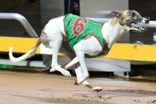 1763711596848.jpeg 1763711596848.jpeg