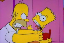 1764843206512.jpeg 1764843206512.jpeg