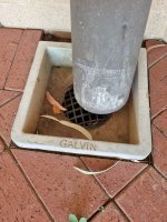 WhatsApp Image 2025-12-04 at 17.02.32_f2edba7b.jpg