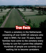 1765863283706.png 1765863283706.png