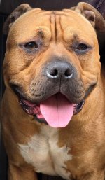 BR 20240725_163942 .jpg