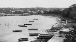 1769126433317.png 1769126433317.png