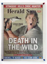 1771707516828.png 1771707516828.png