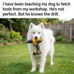FB_IMG_1773028602944.jpg