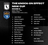 nswcup.jpg nswcup.jpg